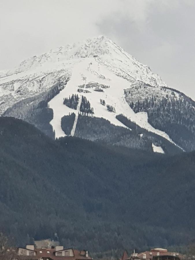 Тодор Прегьов Bansko Zewnętrze zdjęcie