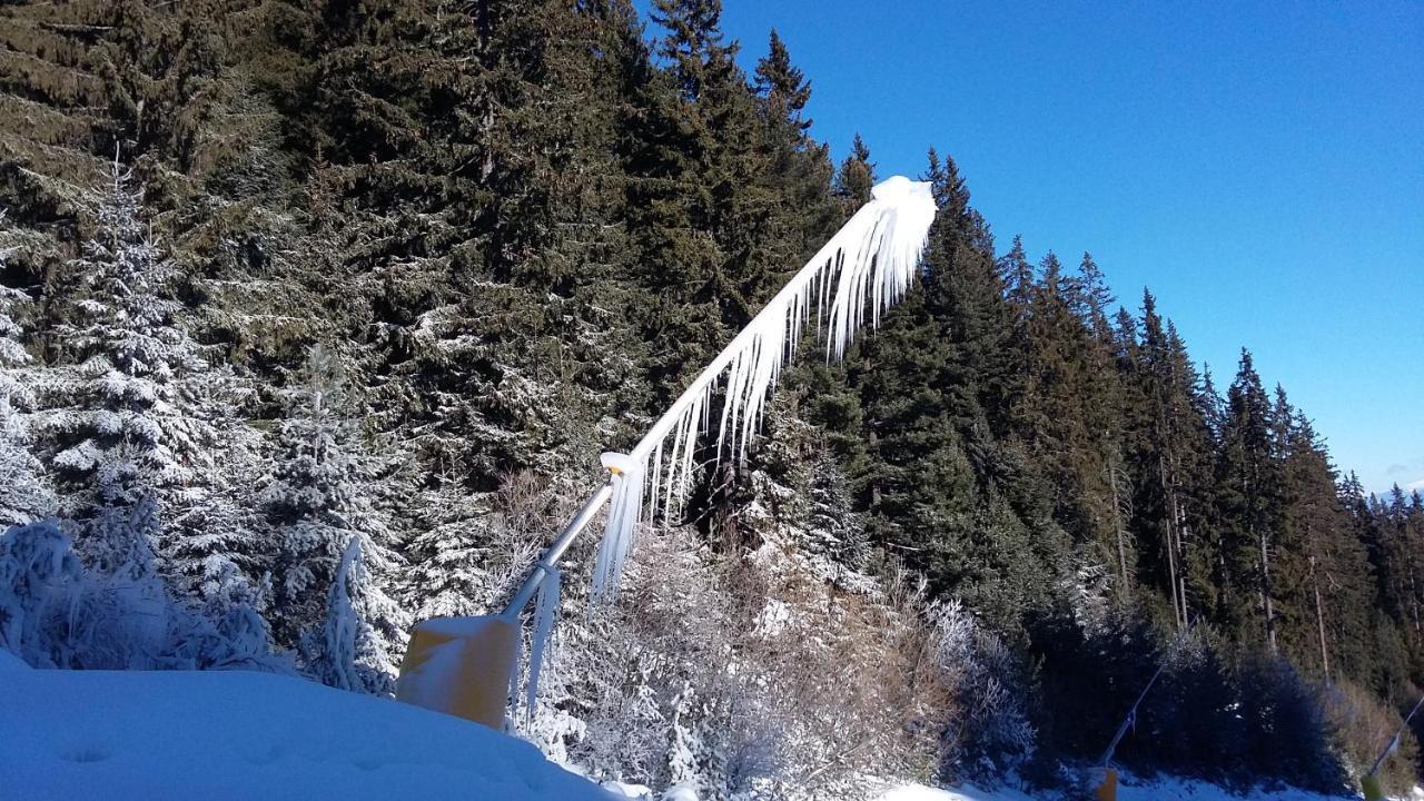 Тодор Прегьов Bansko Zewnętrze zdjęcie